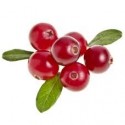Cranberry (500gm)  FROZEN
