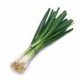 Hara Pyaaz/ Spring Onion(400)gm (Bunch) 