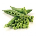 Matar/ Green Peas (1)kg