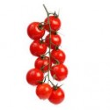 Tomato Cherry (250g)