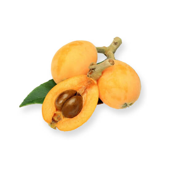 Loquat 500gm